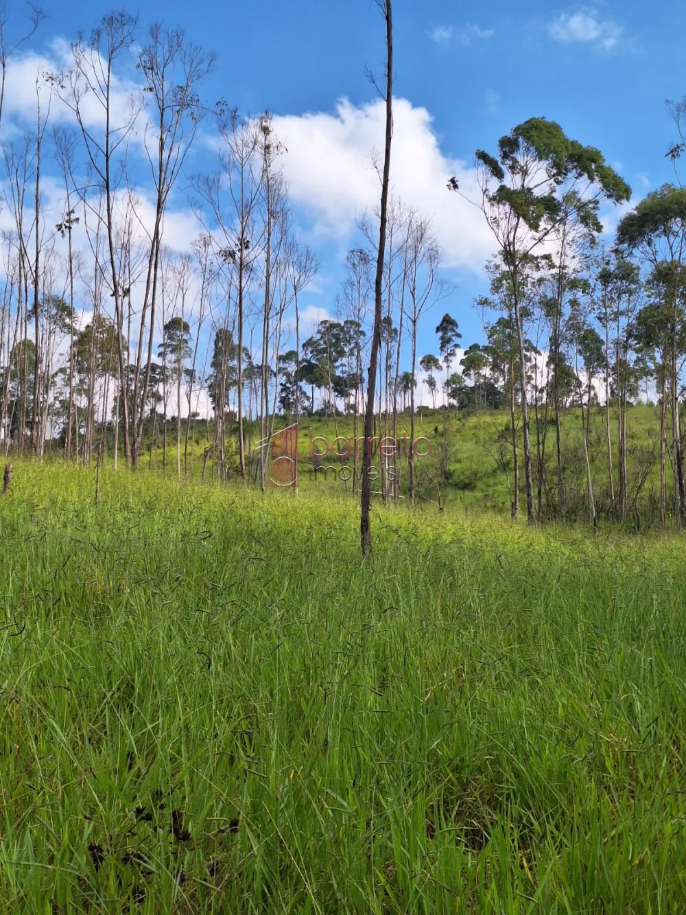 ÁREA INDUSTRIAL PARA VENDA – JARINU/SP
