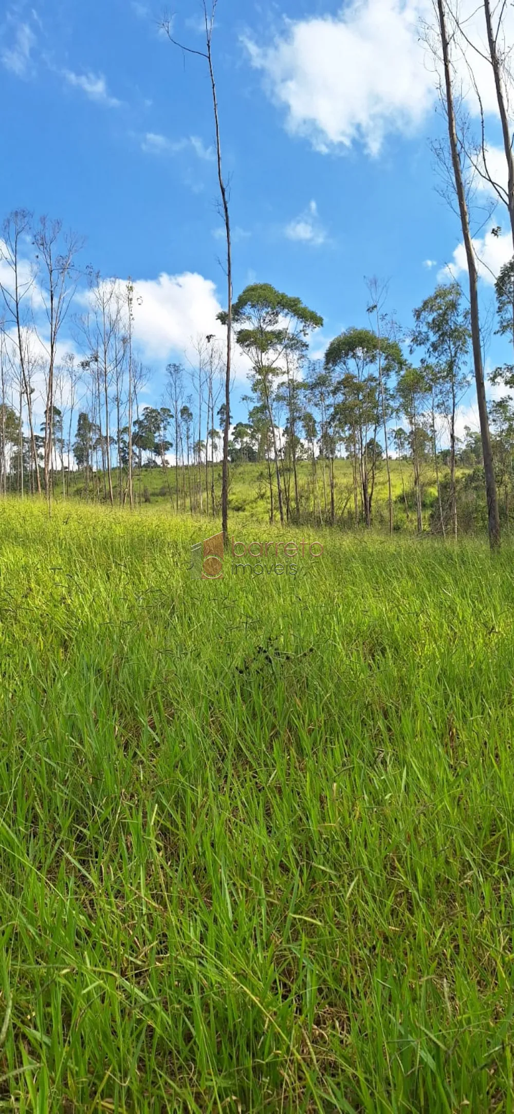 ÁREA INDUSTRIAL PARA VENDA – JARINU/SP