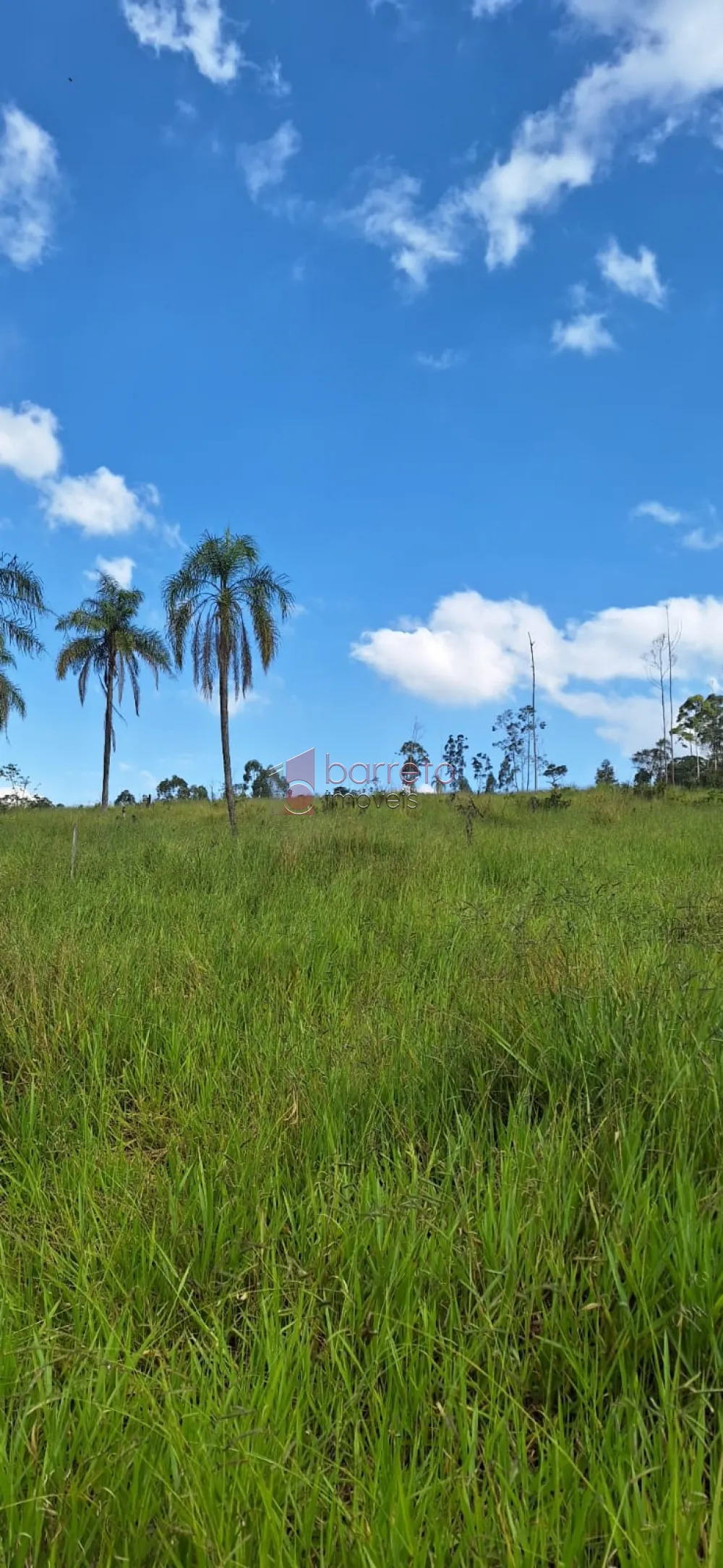 ÁREA INDUSTRIAL PARA VENDA – JARINU/SP