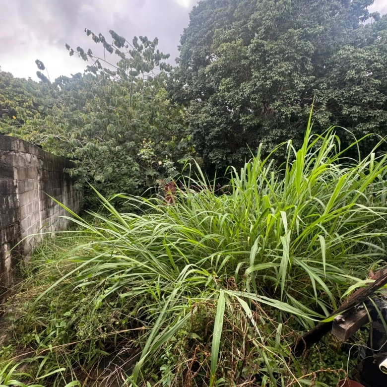 CASA COMERCIAL E RESIDENCIAL À VENDA NO BAIRRO COLÔNIA EM JUNDIAI/SP