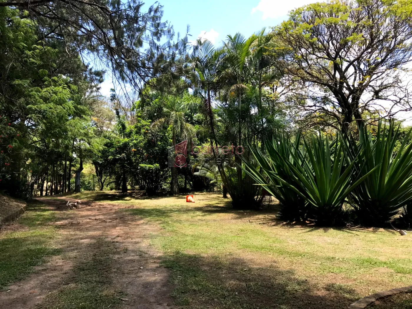 CHÁCARA PARA VENDA OU LOCAÇÃO NO BOSQUE DOS PINHEIRINHOS – JUNDIAÍ/SP
