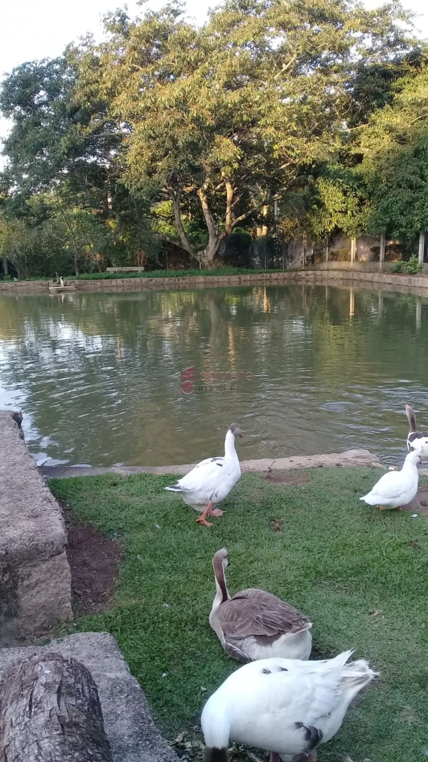 CHÁCARA À VENDA – 5.100M² – VALE DOS CEBRANTES / MEDEIROS – JUNDIAÍ/SP