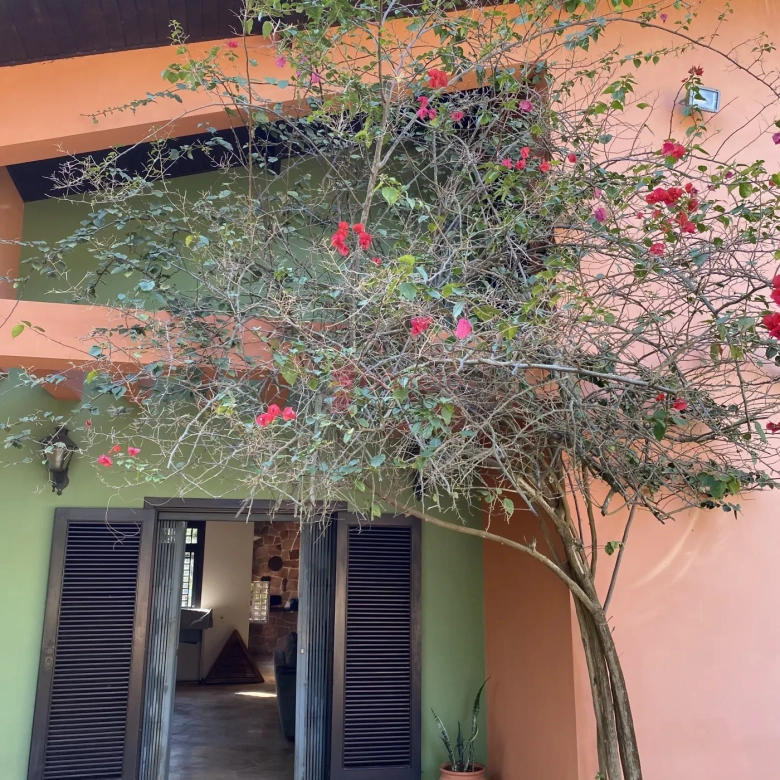 CHÁCARA PARA LOCAÇÃO E VENDA NO JARDIM COLÔNIA – JUNDIAÍ/SP