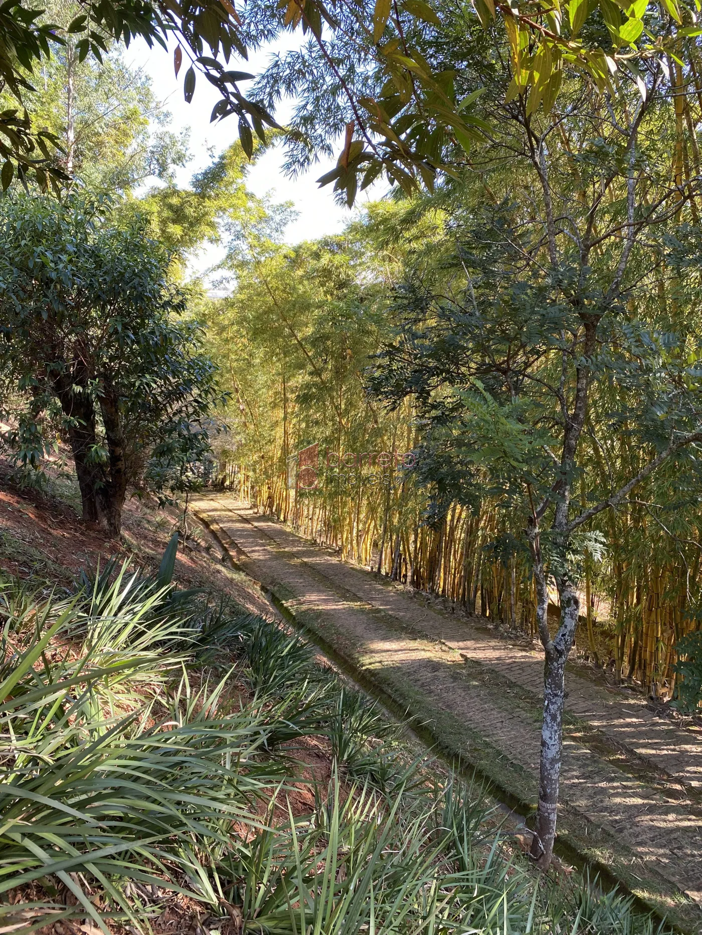 CHÁCARA PARA LOCAÇÃO E VENDA NO JARDIM COLÔNIA – JUNDIAÍ/SP