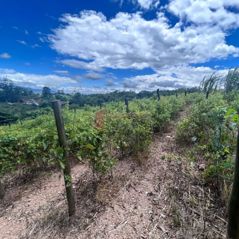 ÁREA RURAL PARA VENDA NO BAIRRO TRAVIÚ – JUNDIAÍ/SP