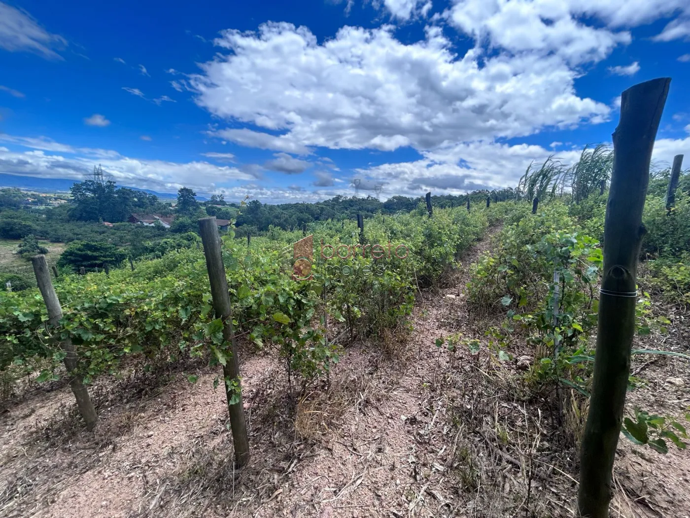 ÁREA RURAL PARA VENDA NO BAIRRO TRAVIÚ – JUNDIAÍ/SP