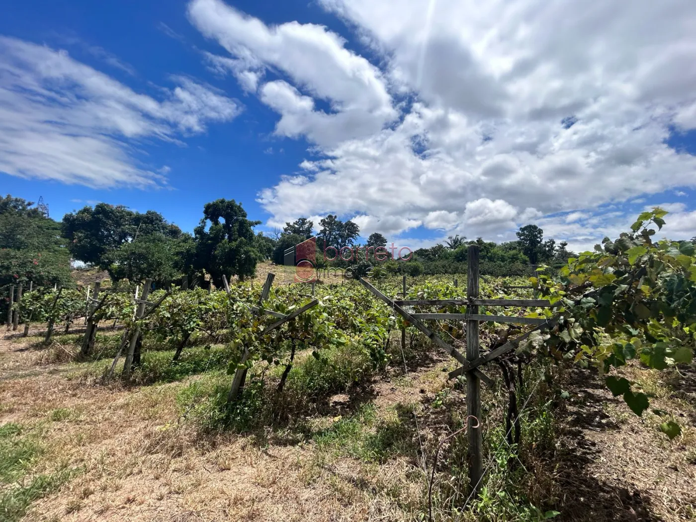 ÁREA RURAL PARA VENDA NO BAIRRO TRAVIÚ – JUNDIAÍ/SP
