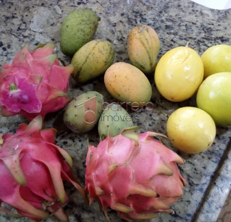 ÁREA RURAL PARA VENDA NO BAIRRO CAXAMBU – JUNDIAÍ/SP