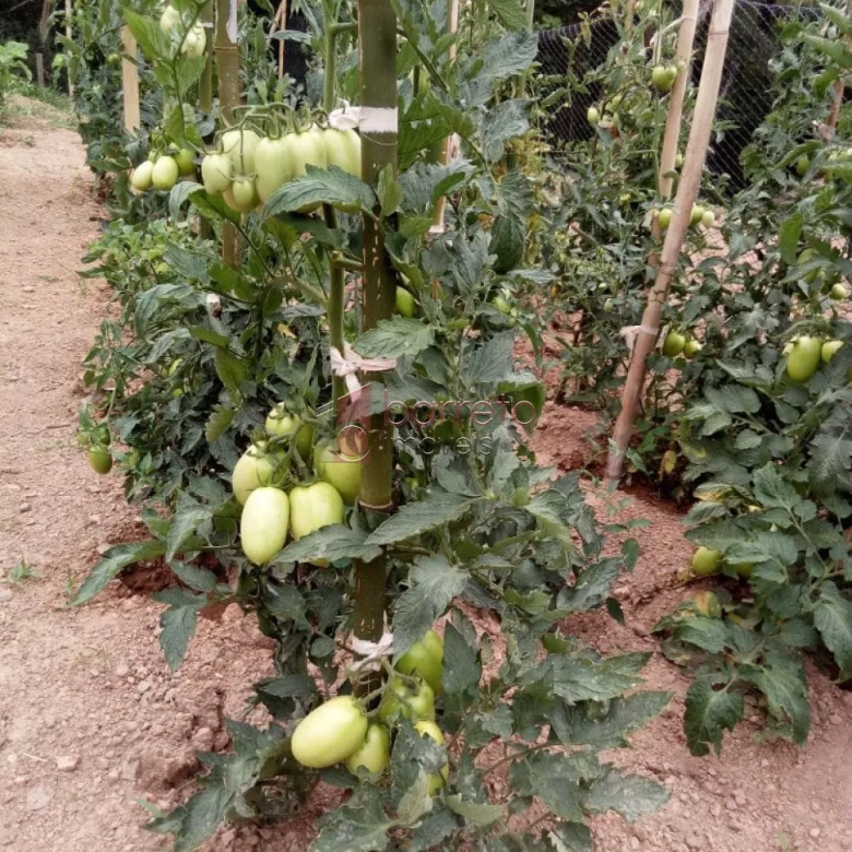 ÁREA RURAL PARA VENDA NO BAIRRO CAXAMBU – JUNDIAÍ/SP