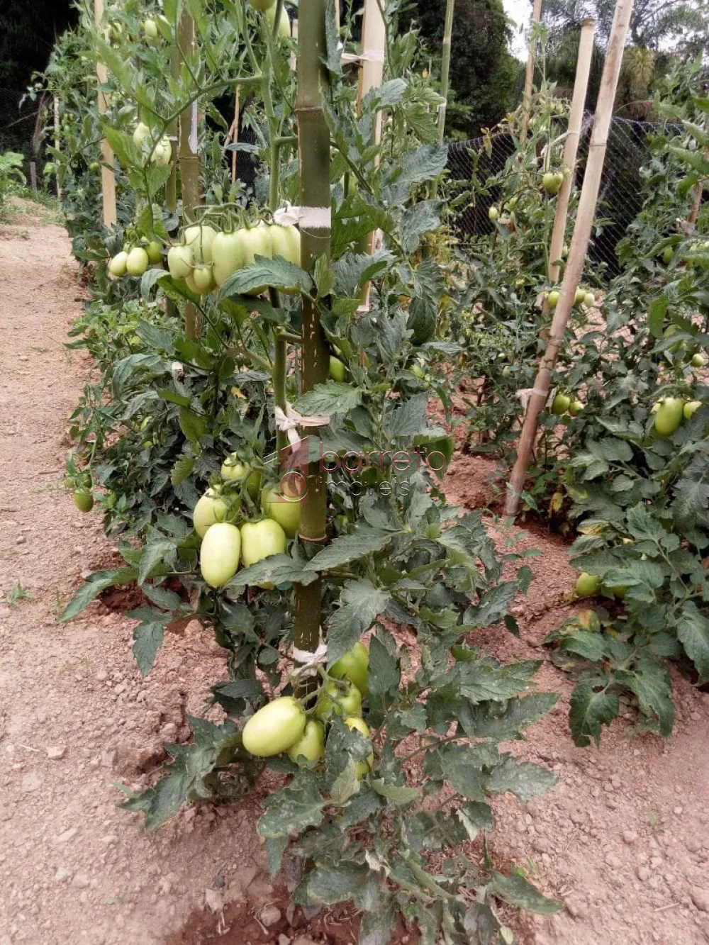 ÁREA RURAL PARA VENDA NO BAIRRO CAXAMBU – JUNDIAÍ/SP