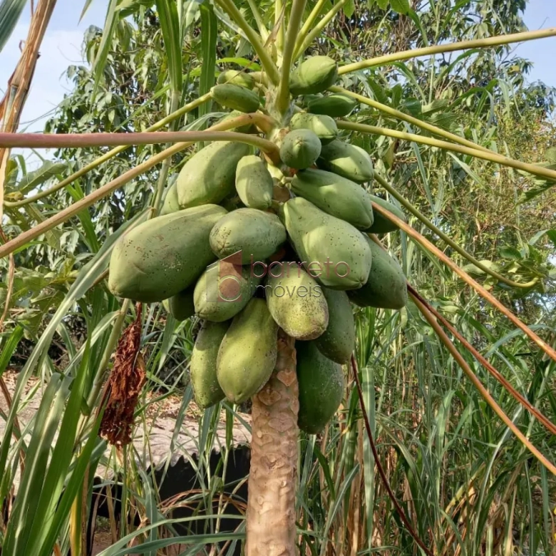 ÁREA RURAL PARA VENDA NO BAIRRO CAXAMBU – JUNDIAÍ/SP