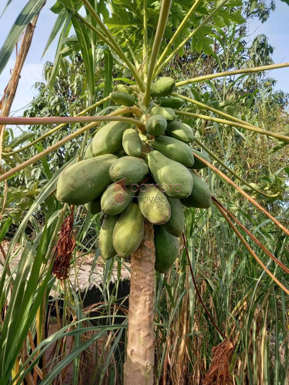 ÁREA RURAL PARA VENDA NO BAIRRO CAXAMBU – JUNDIAÍ/SP