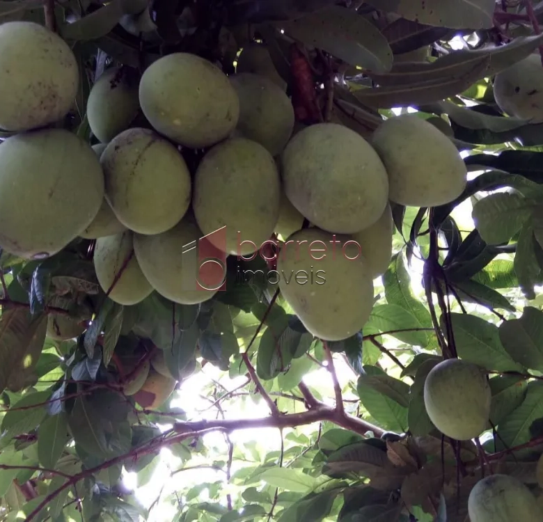 ÁREA RURAL PARA VENDA NO BAIRRO CAXAMBU – JUNDIAÍ/SP