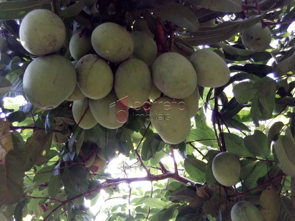 ÁREA RURAL PARA VENDA NO BAIRRO CAXAMBU – JUNDIAÍ/SP