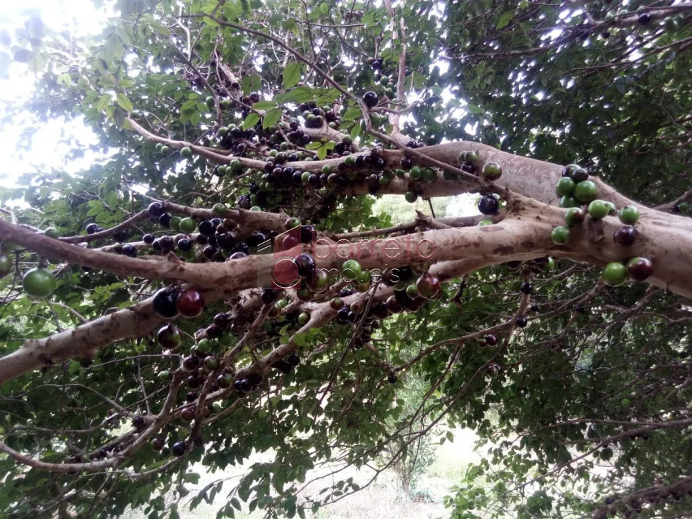 ÁREA RURAL PARA VENDA NO BAIRRO CAXAMBU – JUNDIAÍ/SP
