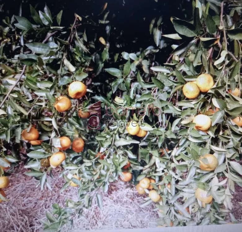 ÁREA RURAL PARA VENDA NO BAIRRO CAXAMBU – JUNDIAÍ/SP