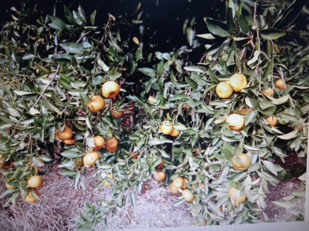 ÁREA RURAL PARA VENDA NO BAIRRO CAXAMBU – JUNDIAÍ/SP