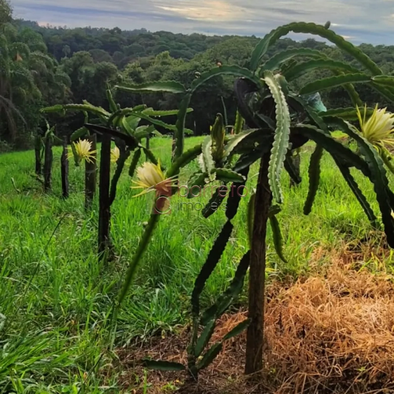 ÁREA RURAL PARA VENDA NO BAIRRO CAXAMBU – JUNDIAÍ/SP