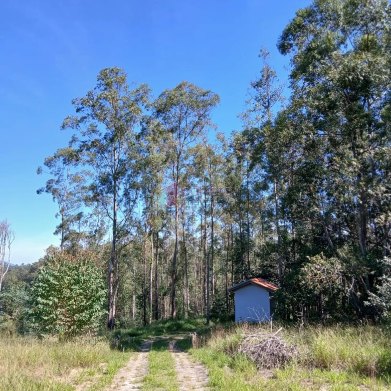 SÍTIO À VENDA NO PINHEIRINHO – JUNDIAÍ MÍRIM – JUNDIAÍ/SP