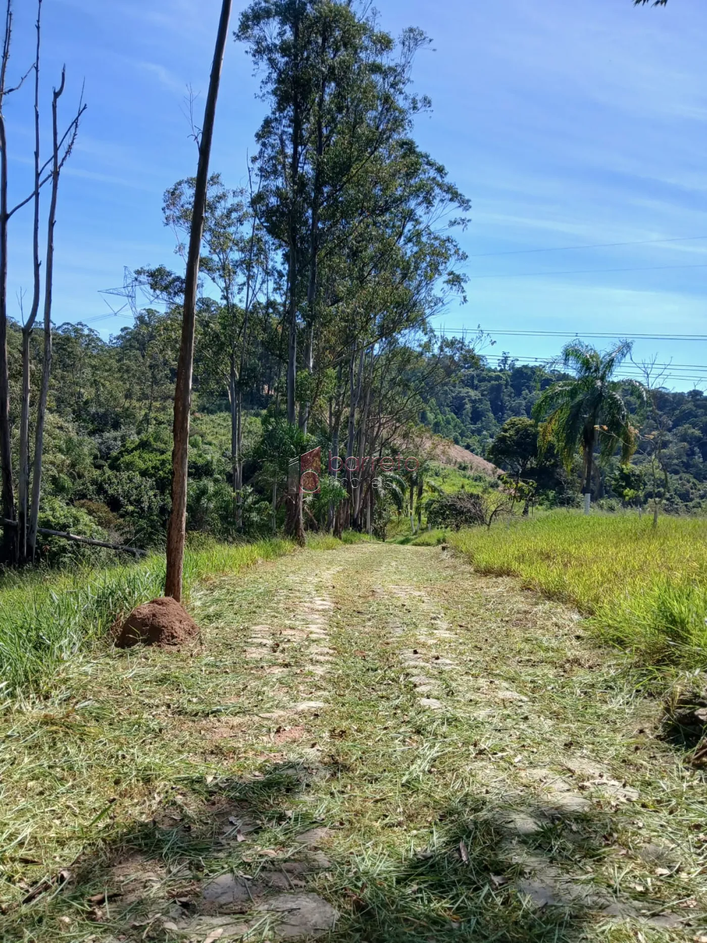 SÍTIO À VENDA NO PINHEIRINHO – JUNDIAÍ MÍRIM – JUNDIAÍ/SP