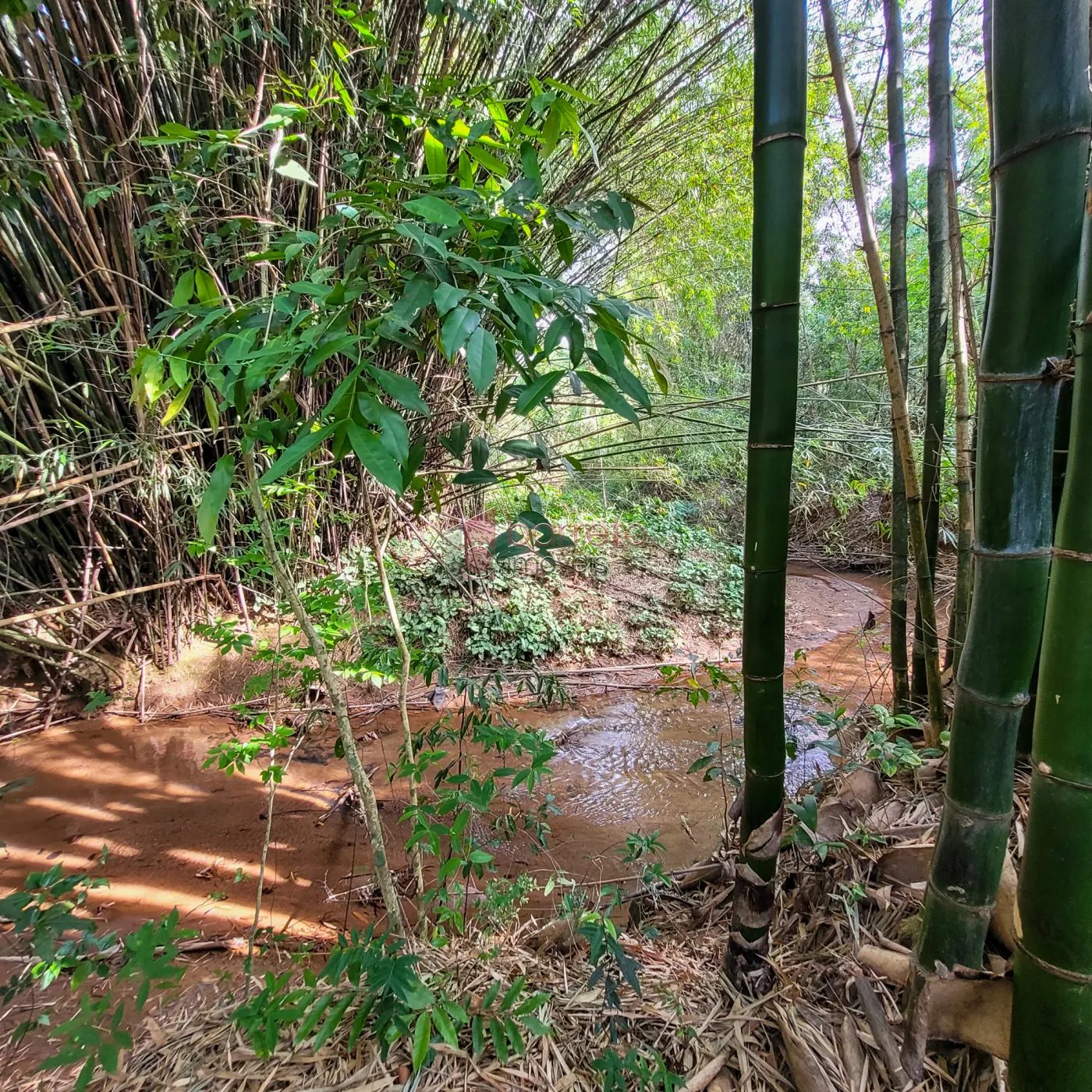 SÍTIO DE 145.000m² À VENDA EM JUNDIAÍ/SP