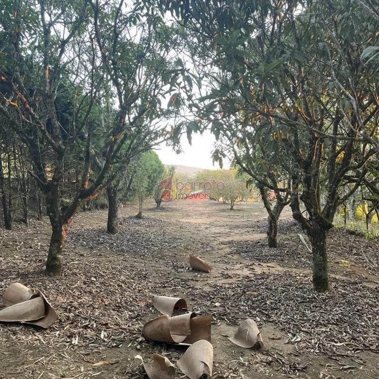SÍTIO PARA VENDA, NO LOTEAMENTO SANTA CLARA EM JUNDIAÍ/SP