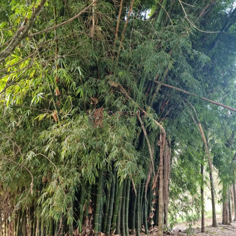 SÍTIO PARA VENDA, NO LOTEAMENTO SANTA CLARA EM JUNDIAÍ/SP