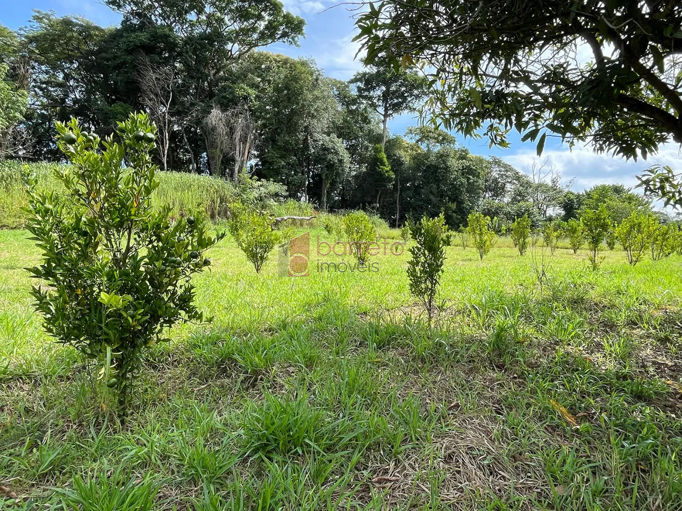 SÍTIO PARA VENDA NO BAIRRO DO TRAVIÚ – JUNDIAÍ/SP