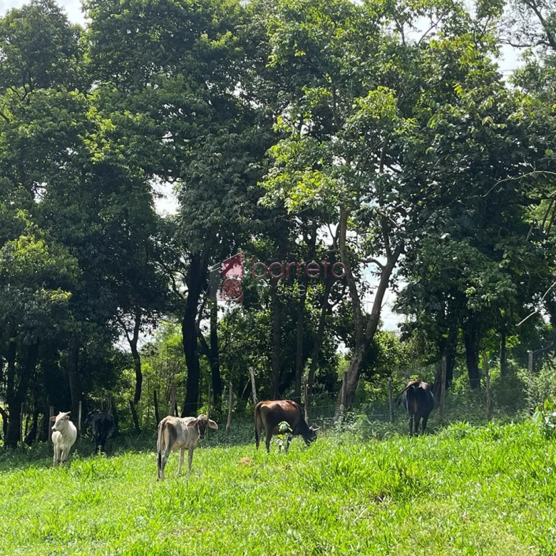 SÍTIO PARA VENDA NO BAIRRO DO TRAVIÚ – JUNDIAÍ/SP