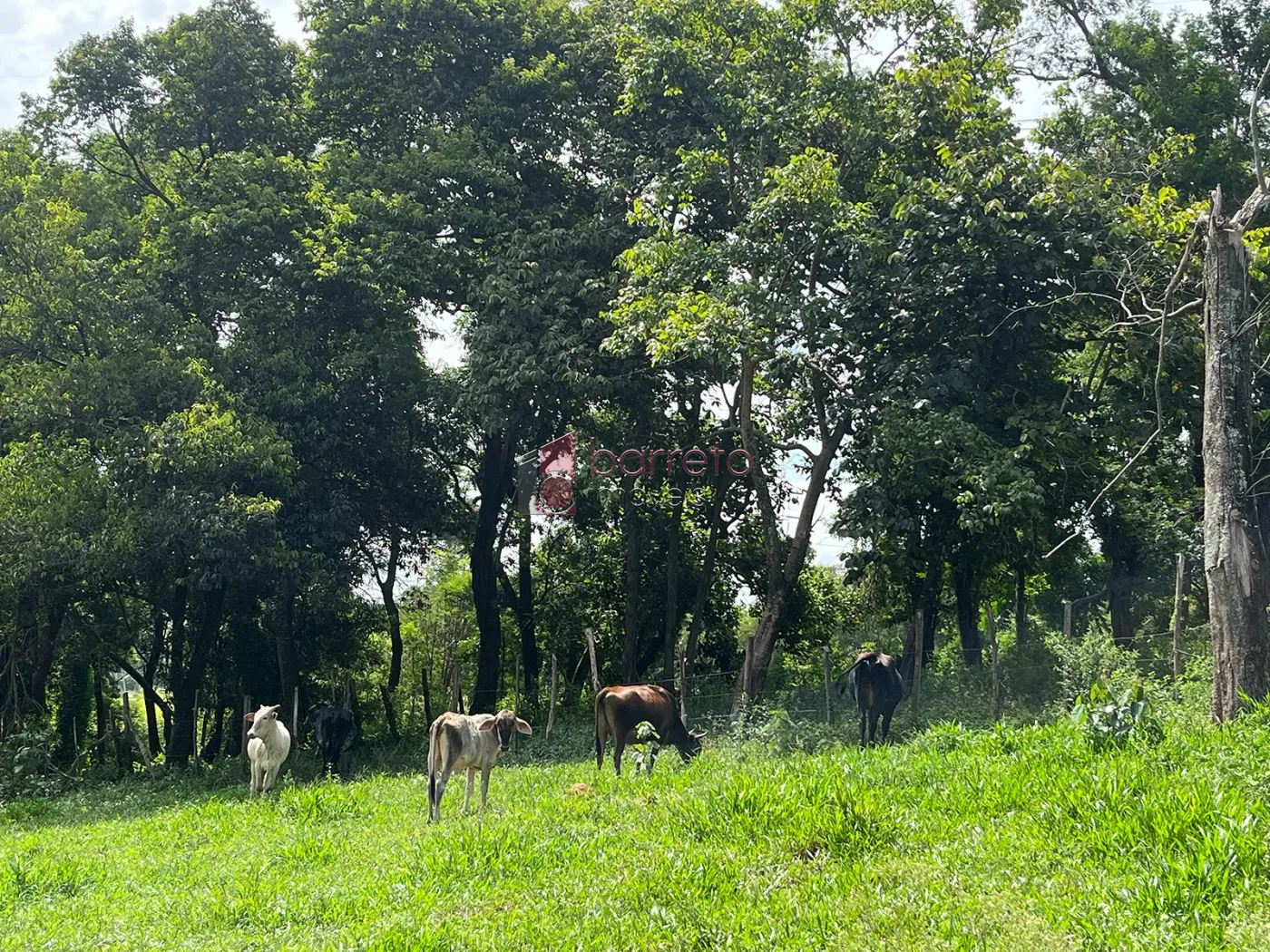 SÍTIO PARA VENDA NO BAIRRO DO TRAVIÚ – JUNDIAÍ/SP