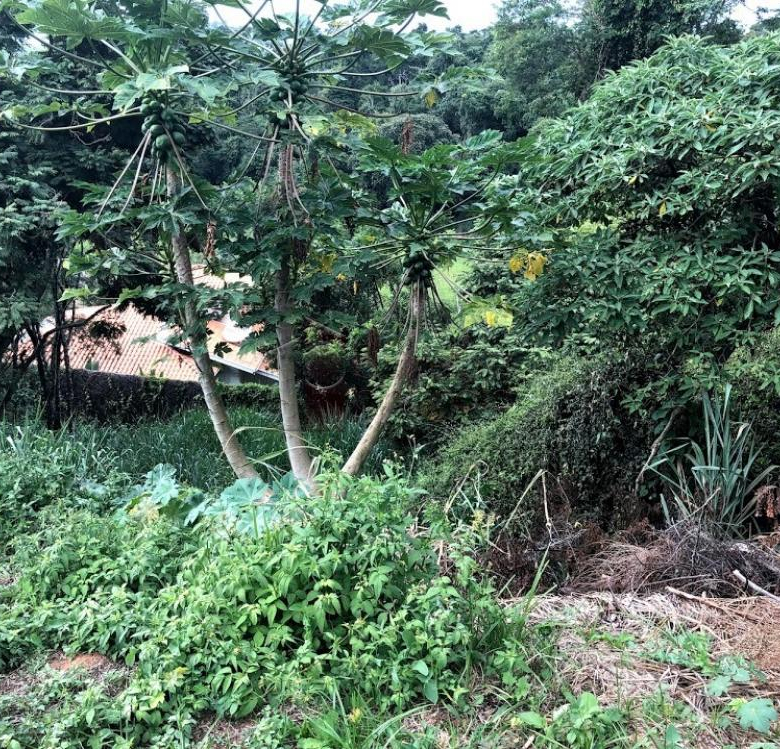 TERRENO PARA VENDA NO CONDOMÍNIO CHÁCARA MALOTA – JUNDIAÍ/SP