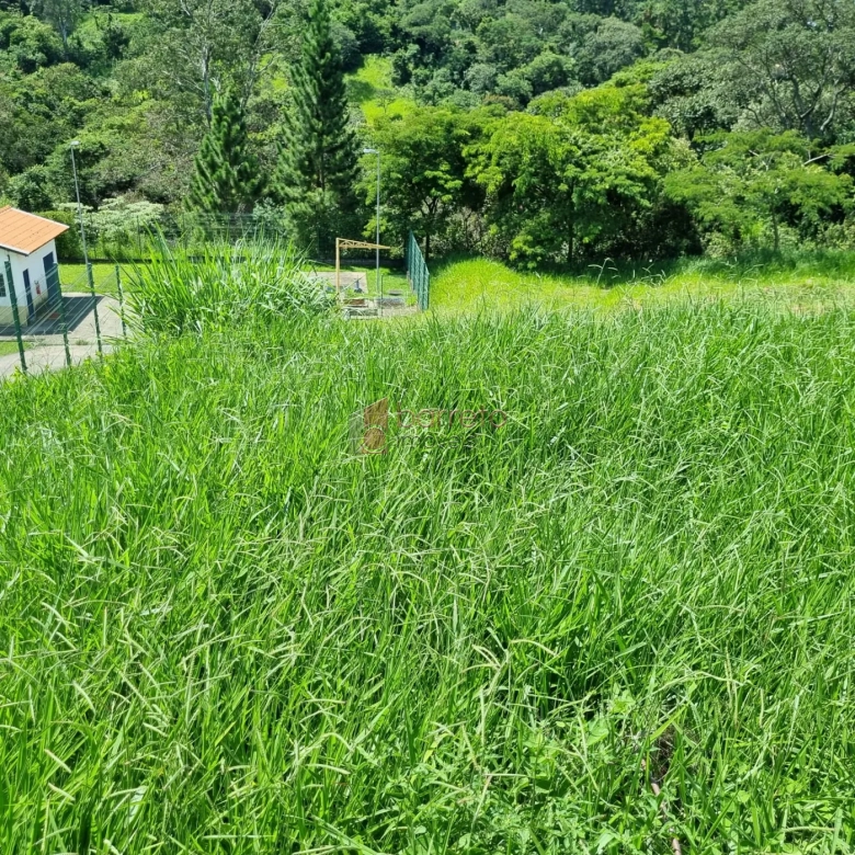 TERRENO PARA VENDA NO CONDOMÍNIO BOSQUE DO HORTO – JUNDIAÍ/SP