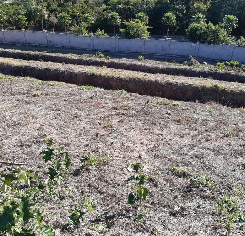 Terreno Condomínio em Jundiaí