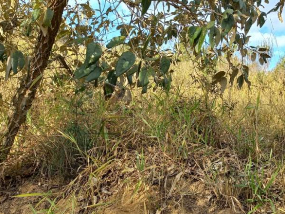 TERRENO PARA VENDA NO CONDOMÍNIO PARQUE DOS MANACÁS – JUNDIAÍ/SP