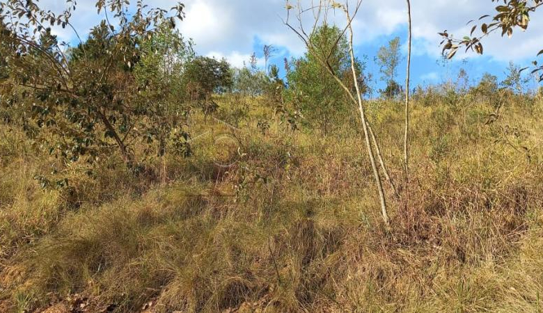 TERRENO PARA VENDA NO CONDOMÍNIO PARQUE DOS MANACÁS – JUNDIAÍ/SP