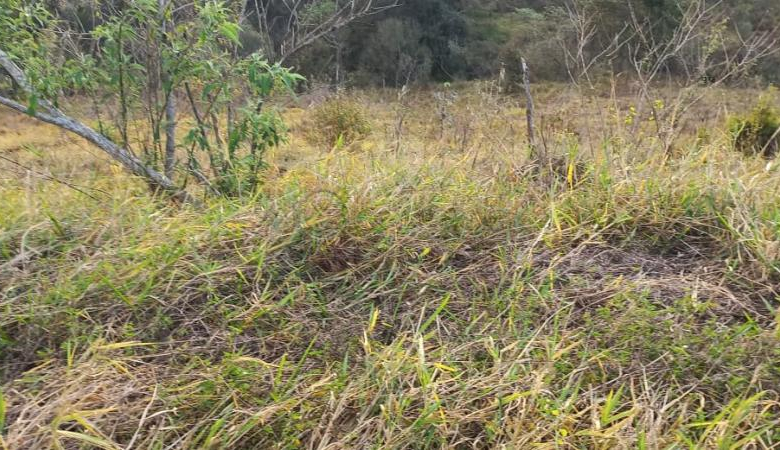 TERRENO PARA VENDA NO PARQUE DOS MANACÁS – JUNDIAÍ/SP