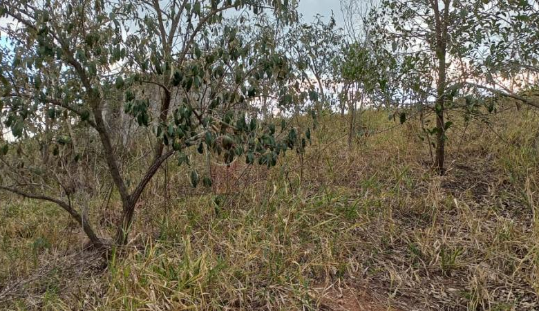 TERRENO PARA VENDA NO CONDOMÍNIO PARQUE DOS MANACÁS – JUNDIAÍ/SP