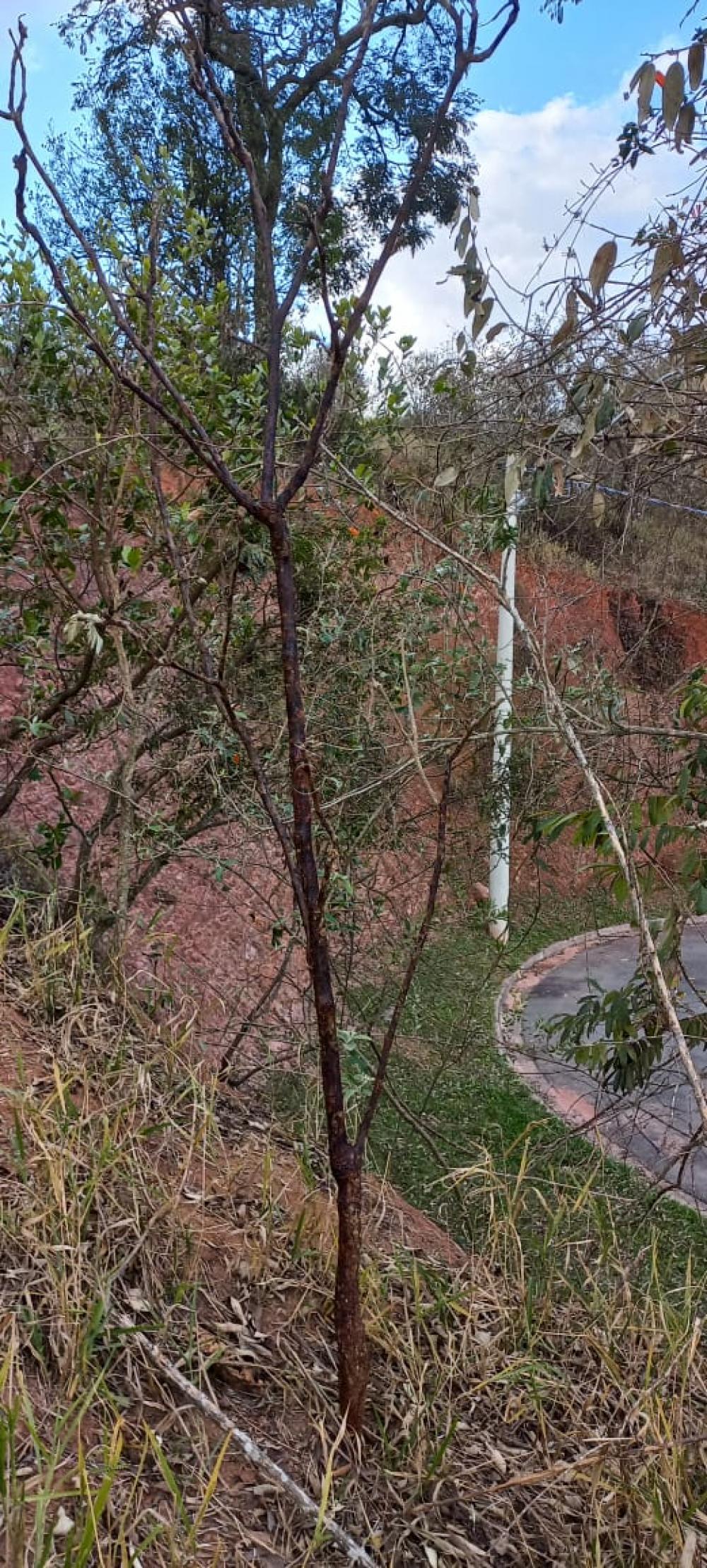 TERRENO PARA VENDA NO CONDOMÍNIO PARQUE DOS MANACÁS – JUNDIAÍ/SP