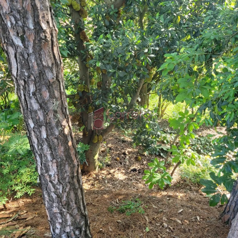 TERRENO PARA VENDA NO JARDIM NOVO MUNDO – JUNDIAÍ/SP