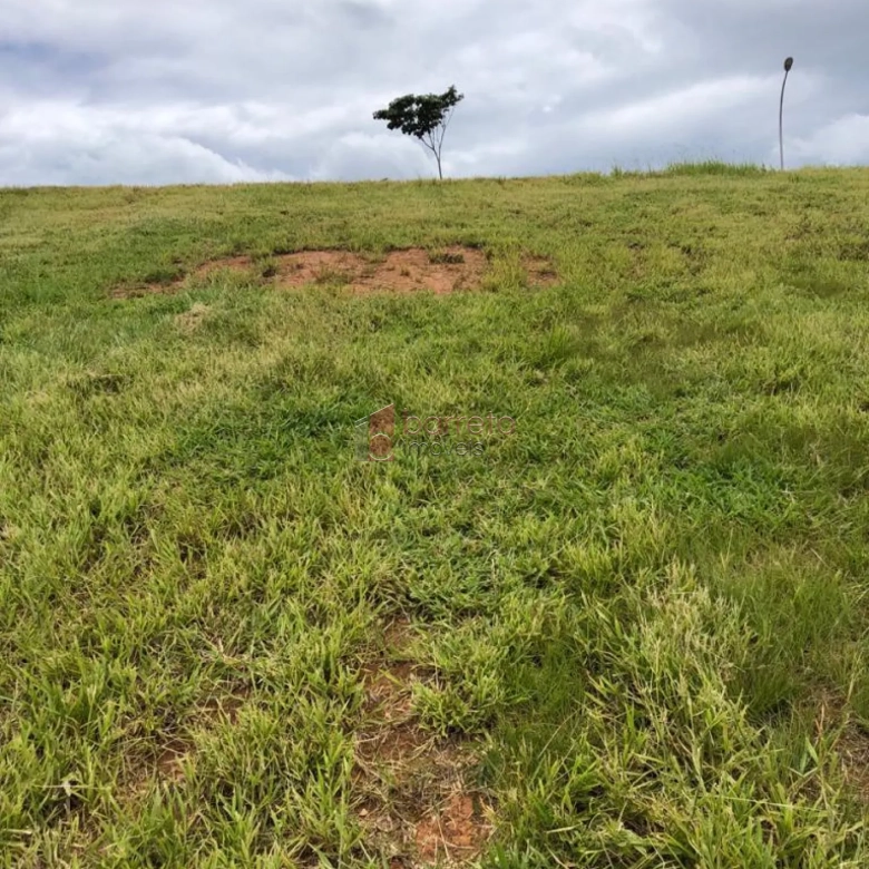 TERRENO PARA VENDA NO CONDOMÍNIO ALPHAVILLE 1 – JUNDIAÍ/SP
