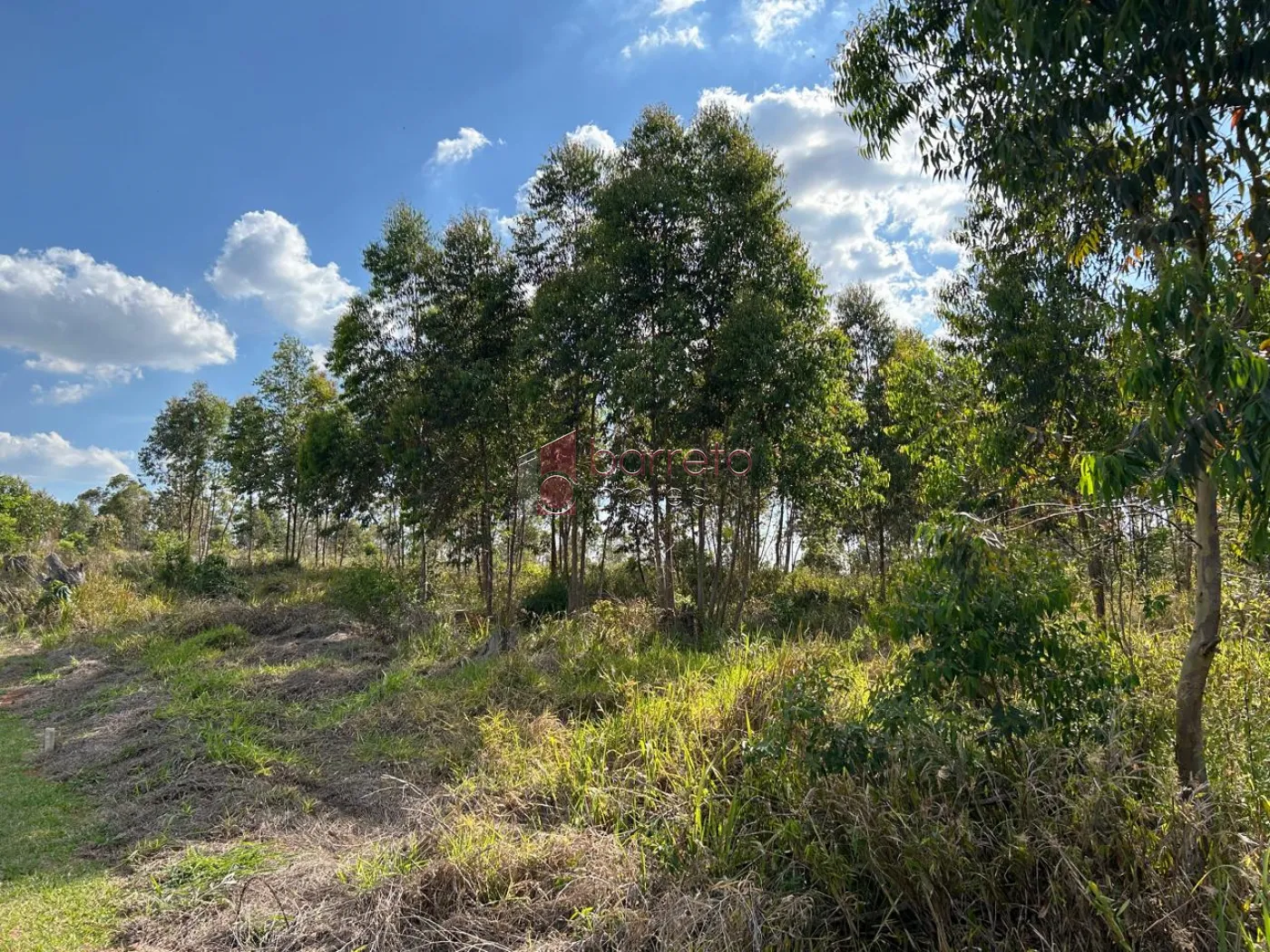 TERRENO DE 20.000 M² À VENDA NO BAIRRO RIO ACIMA EM JUNDIAÍ/SP