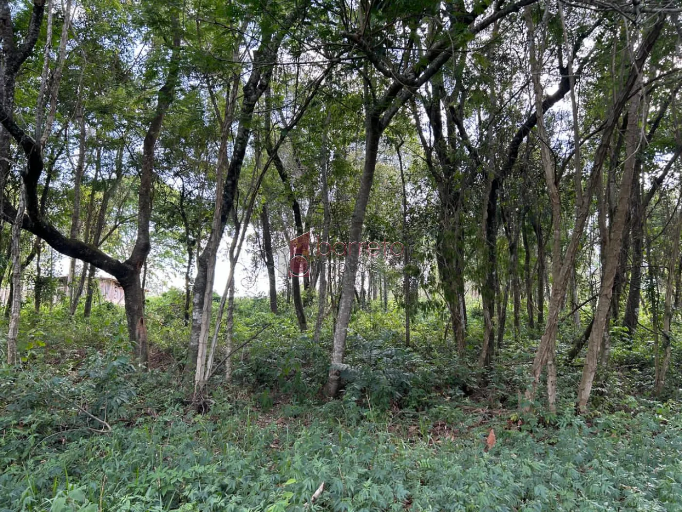 TERRENO DE 20.000 M² À VENDA NO BAIRRO RIO ACIMA EM JUNDIAÍ/SP