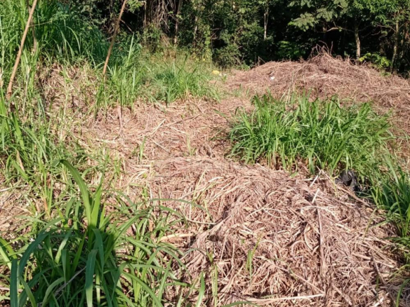 TERRENO PARA VENDA NO CHAMPIRRA – JUNDIAÍ/SP