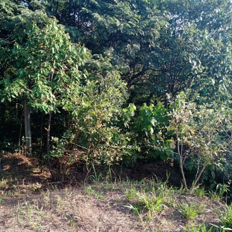 TERRENO PARA VENDA NO CHAMPIRRA – JUNDIAÍ/SP