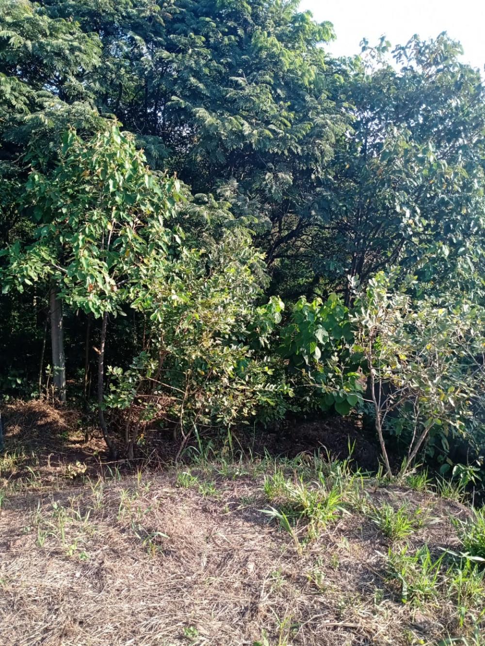 TERRENO PARA VENDA NO CHAMPIRRA – JUNDIAÍ/SP