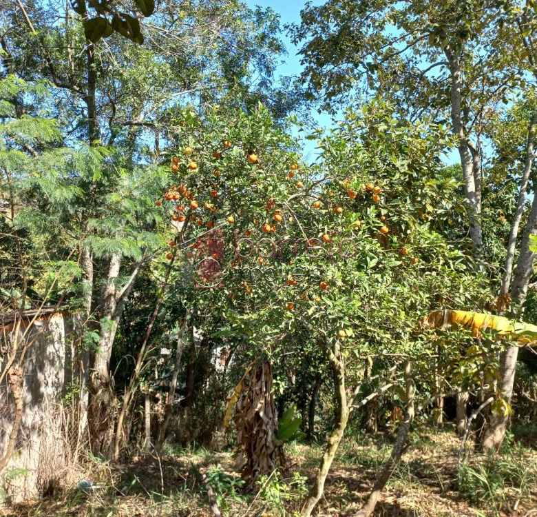 TERRENO PARA VENDA NO CHAMPIRRA – JUNDIAÍ/SP