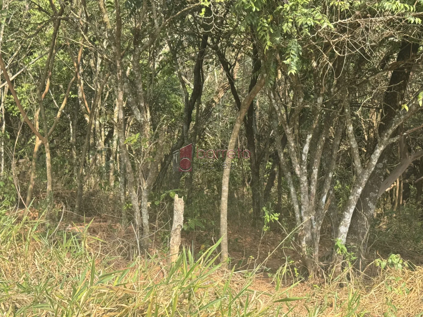 TERRENO À VENDA – BAIRRO MATO DENTRO – JUNDIAÍ/SP