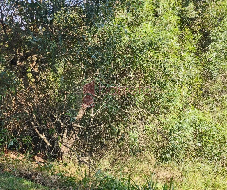 TERRENO PARA VENDA NO CONDOMÍNIO RESIDENCIAL JARDIM PRIMAVERA – LOUVEIRA/SP