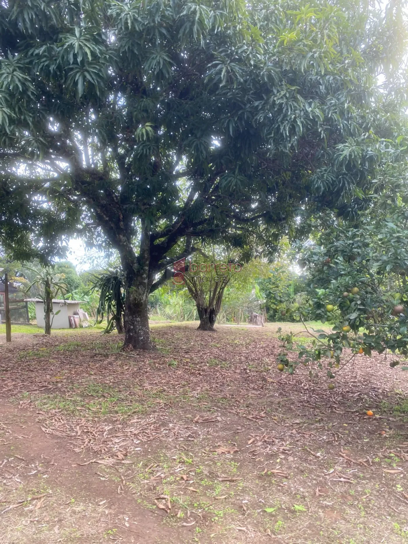 SÍTIO COM 20.530 M² – 03 CASAS INDEPENDENTES – ITUPEVA/SP