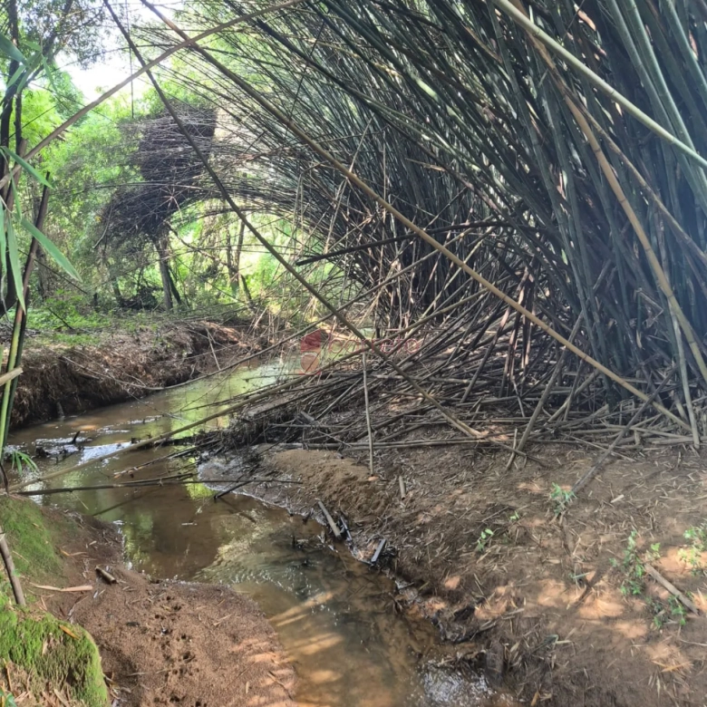 SÍTIO À VENDA NA AVENIDA GERALDO AZZONI – BAIRRO RIO ACIMA EM JUNDIAÍ/SP